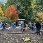 Photo of a large group of people with dogs wearing costumes