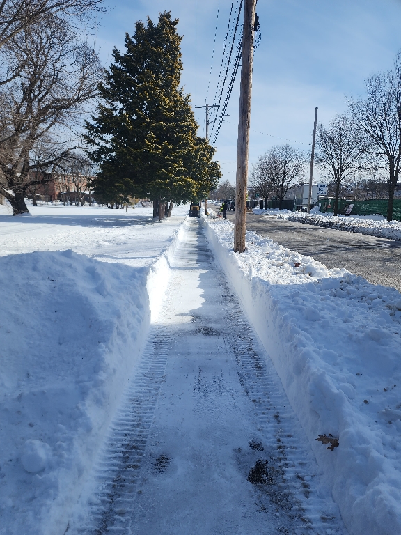 photo of a shoveled sidewalk with snow present everywhere in the photo
