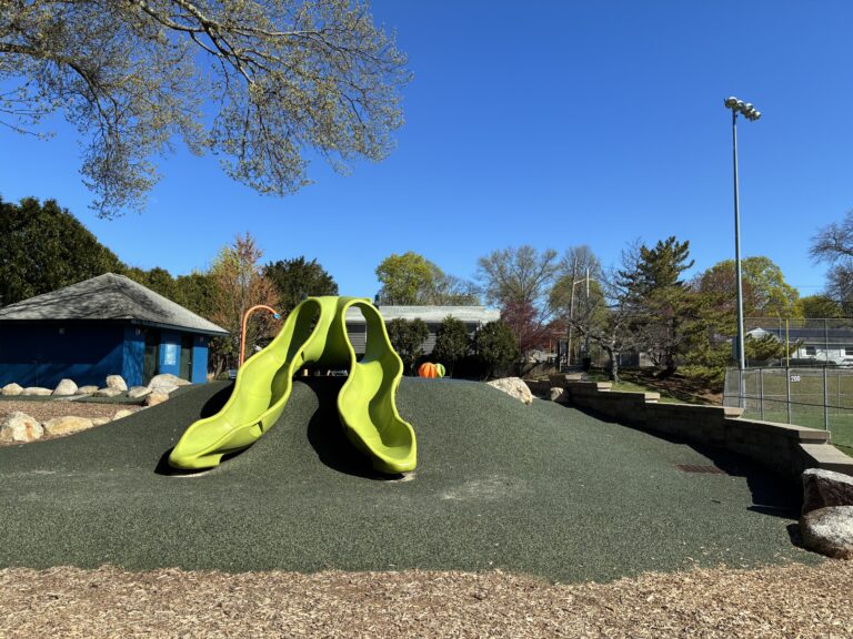 Fargnoli Park Embankment Slide for all ages