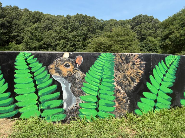 Neutaconkanut skatepark mural of eastern grey squirrel 2026
