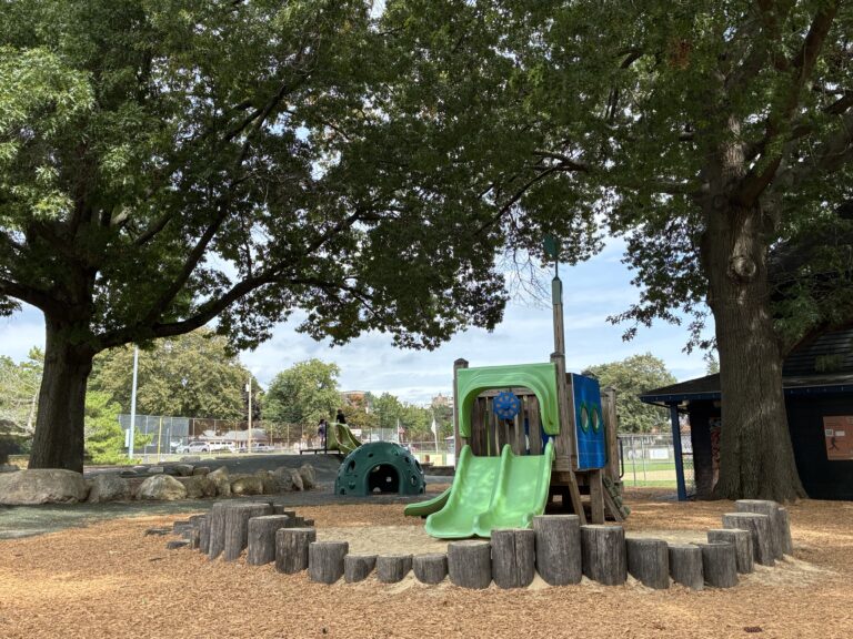 Fargnoli Park play structures for ages 2-5 including sand play area