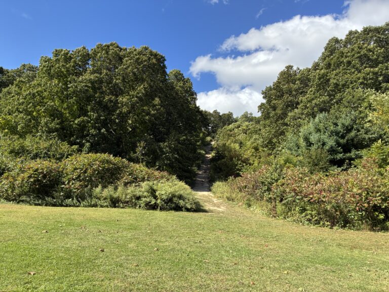Neutaconkanut Hill viewed from walking path behind the skatepark
