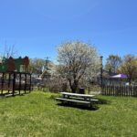 Father Lennon Park picnic area in front of garden