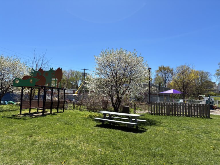 Father Lennon Park picnic area in front of garden