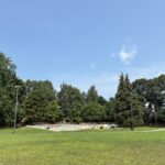 Father Lennon Park past the open field and walking track to the skatepark and parkour fitness area