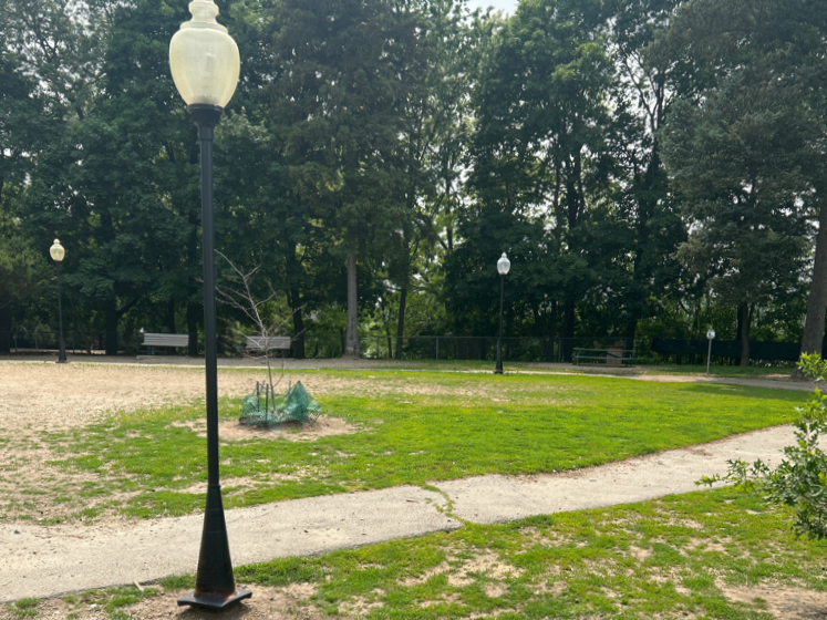 Franciscan Park light pole along walking path