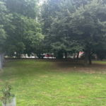 Franciscan Park dog park is enclosed with chainlink fence