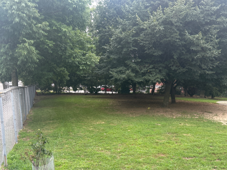 Franciscan Park dog park is enclosed with chainlink fence