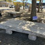 “Pond Lands” sculptural installation at Columbus Square facing Elmwood Ave