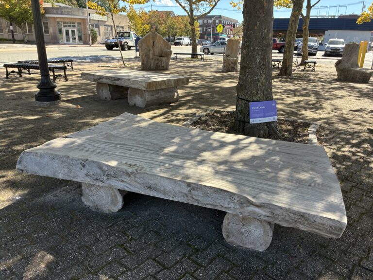 “Pond Lands” sculptural installation at Columbus Square facing Elmwood Ave