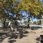 Columbus Square in the fall facing north with seating areas and shade trees