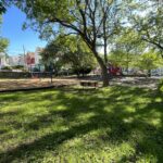George Araujo Park view across an open field to play structure with a good mix of shade in Spring 2025