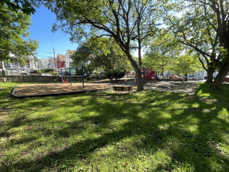 George Araujo Park view across an open field to play structure with a good mix of shade in Spring 2025