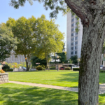 Garibaldi Square looking across the main lawn with Dominica Manor in background