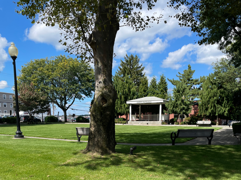 Garibaldi Square looking north towards the Pavilion stage