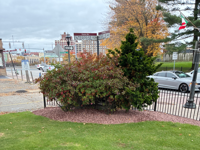 Garibaldi Square landscaping at the corner of the park on Enterprise Row