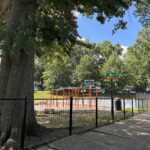 General Street Park entrance at the base of a majestic Red Oak tree
