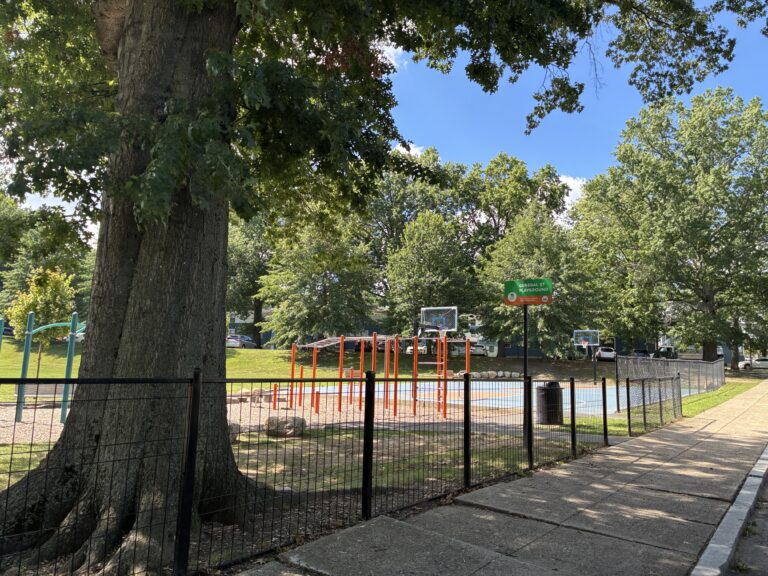 General Street Park entrance at the base of a majestic Red Oak tree