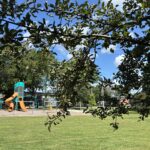 General Street Park view across the field to the playground from under a tree grove on the south side of the park