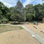 Gladys Potter Park view from play tower of the park's walking path and significant trees