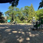Gladys Potter Park playground from under the shade with variety of tree species