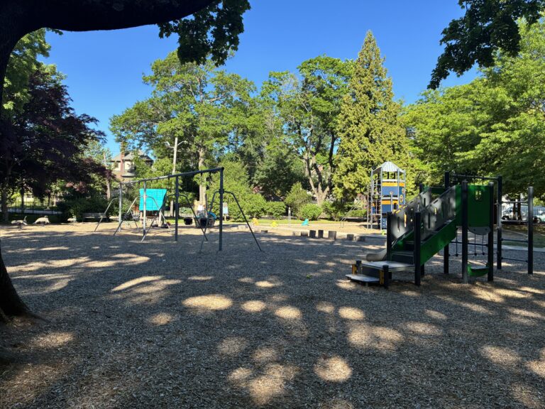 Gladys Potter Park playground from under the shade with variety of tree species