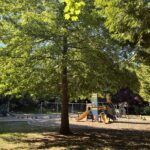 Gladys Potter Park playground for ages 2-12 with behind a majestic pin oak tree