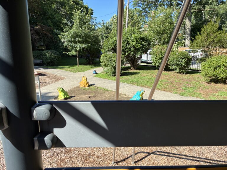 Gladys Potter Park view from play tower of the classic concrete frog sculptures