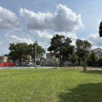 Harriet & Sayles Park open field with lush grass facing Oxford St
