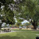 Hassett Park view of playground from Goddard St entrance with mature shade trees over the picnic and seating areas