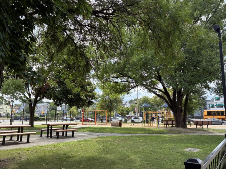 Hassett Park view of playground from Goddard St entrance with mature shade trees over the picnic and seating areas