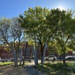 Iola French Park mature shade trees and wooden pillars line the entrance to the playground from the Veazie Street elementary school