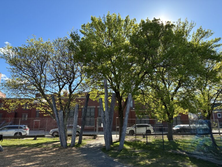 Iola French Park mature shade trees and wooden pillars line the entrance to the playground from the Veazie Street elementary school