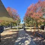 Jacqueline Clements Park walking through the fitness area in Autumn