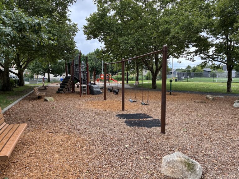 Joslin Park playground swings for ages 2-12 with futsal in the background