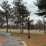 Joe Williams Field and Playground testing the lighting facing Roger Williams Park across Elmwood Avenue