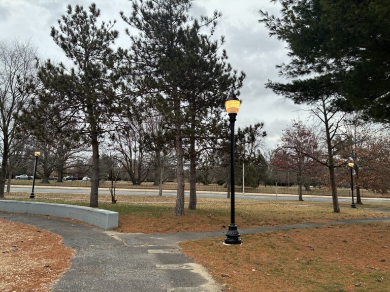 Joe Williams Field and Playground testing the lighting facing Roger Williams Park across Elmwood Avenue