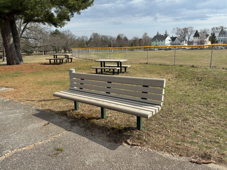 Joe Williams picnic area and seating