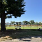 Joe Williams picnic area between the playground and ballfield under the shade of a pine tree