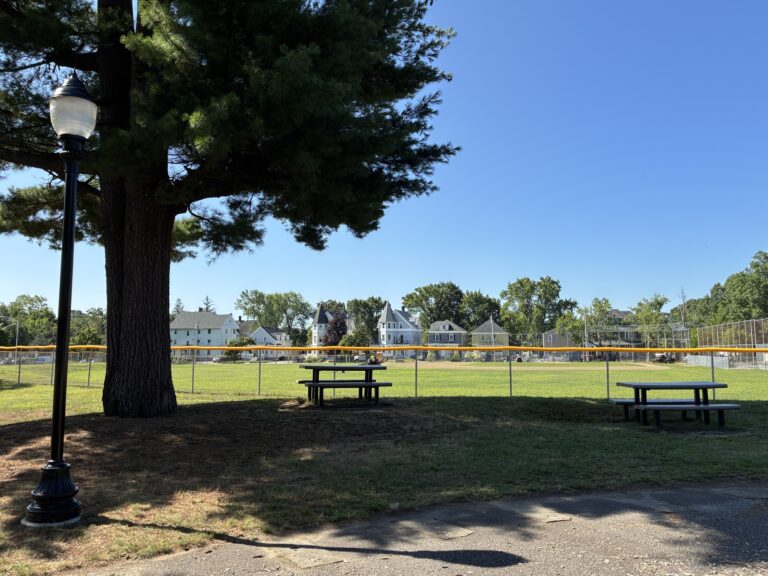 Joe Williams picnic area between the playground and ballfield under the shade of a pine tree