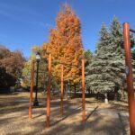 Joe Williams Fitness Area Fall Colors