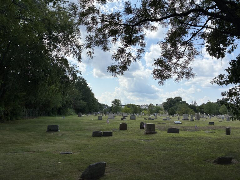 Locust Grove Cemetery in August from Melrose Street