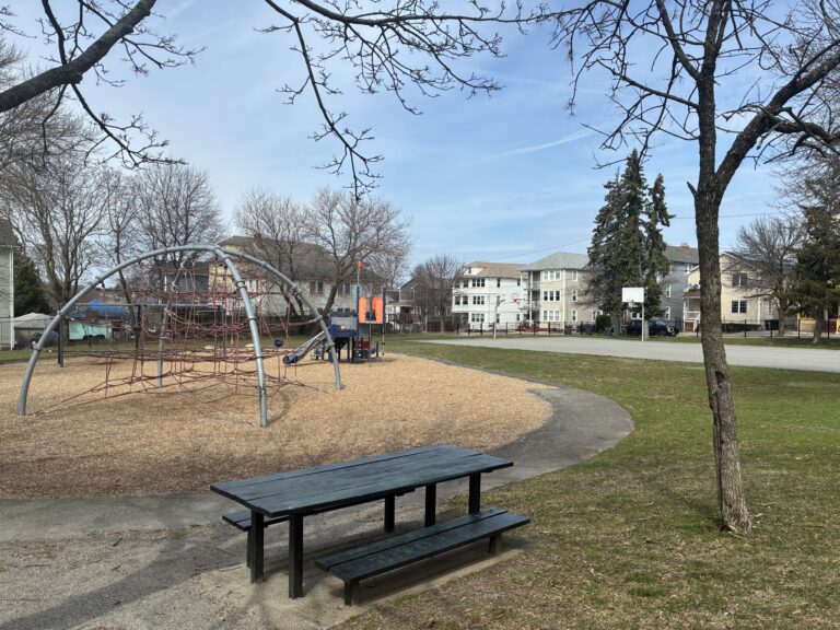 Major Park view of play amenities from the shaded picnic area