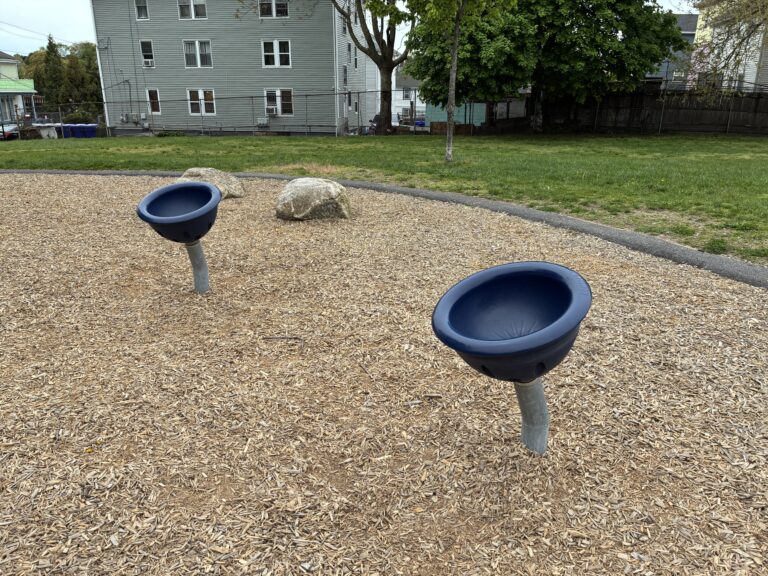 Major Park spinner bowls on the playground