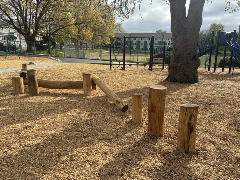 Miguel Luna Park log play structures creating using hardwood timber processed from a fallen tree at the park's basketball court