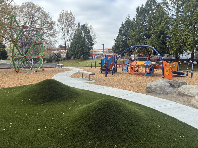 Miguel Luna Park playground synthetic turf moguls facing the tot play area for ages 2-5