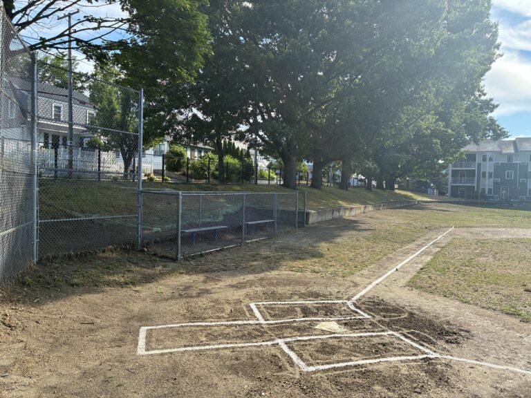 Miguel Luna Park baseball field lined for play