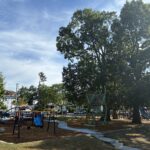 Miguel Luna Park playground for ages 2-12 with significant trees