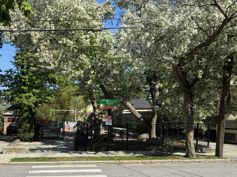 Morris Ave Park entrance in Spring