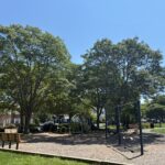Mt Pleasant Little League Park playground swings for ages 2-12